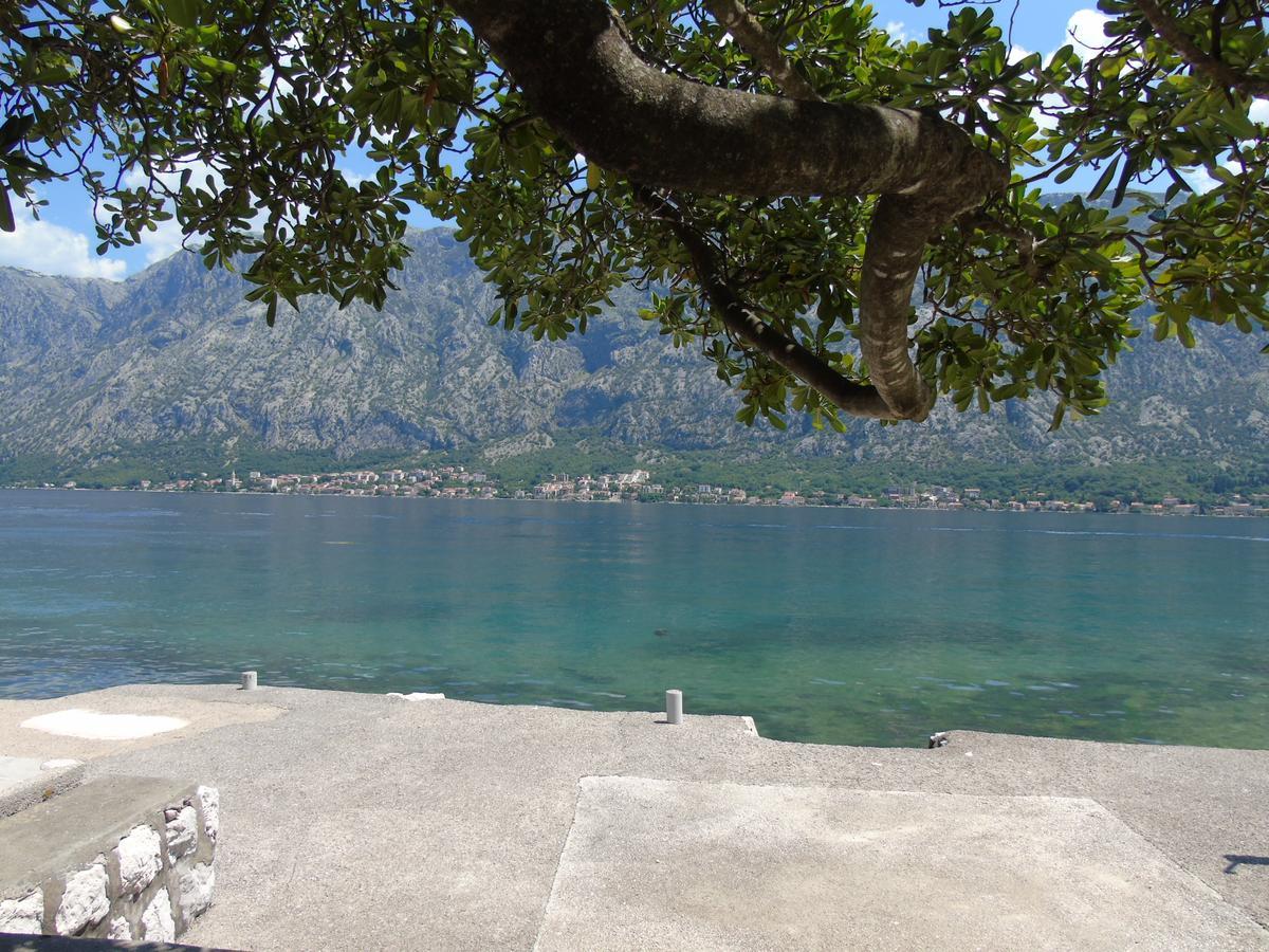 Apartments Marysol Kotor Exteriör bild